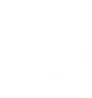 Boss Raids
